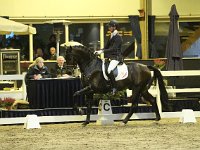 Don Tango 201113_1785